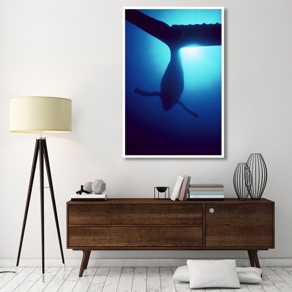 Humpback Whale male singing underwater, Maui, Hawaii-Paper Art-42&quotx62"