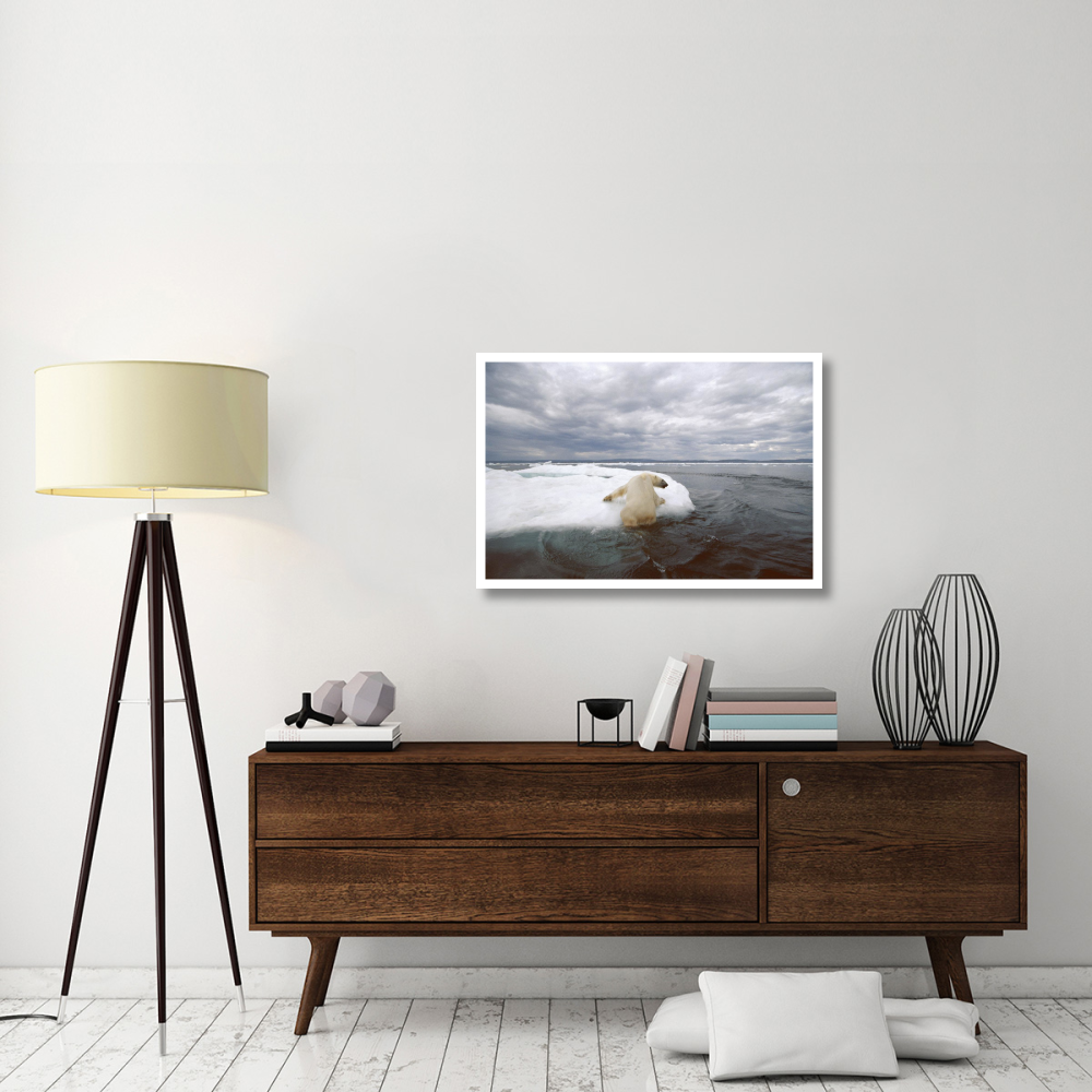 Polar Bear hauling out on ice floe, Wager Bay, Canada-Paper Art-38&quotx26"