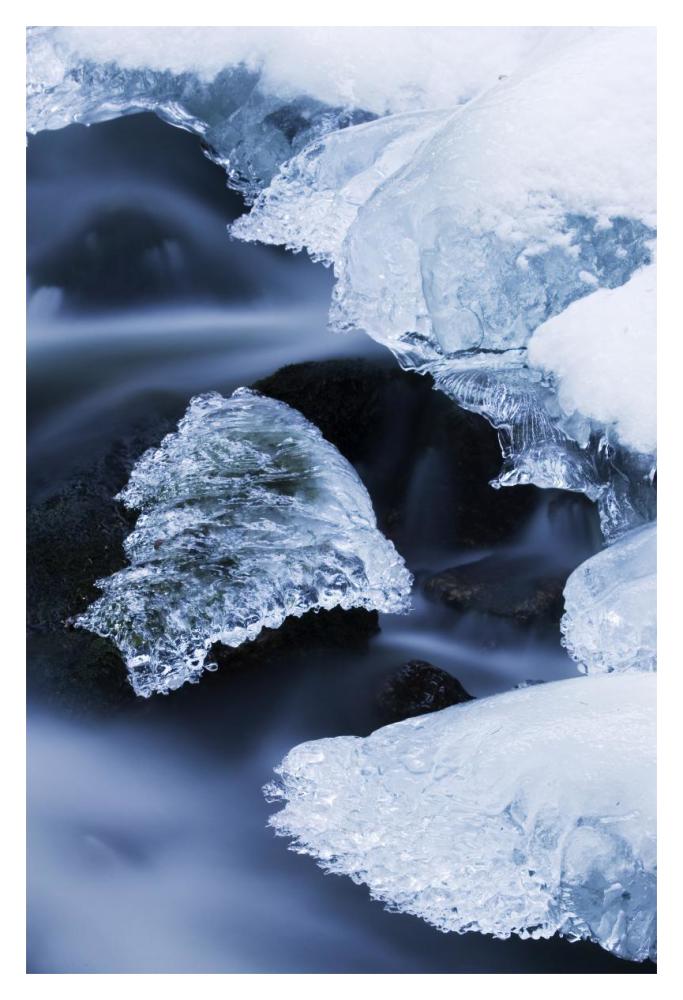 Ice patches in stream, Bavarian Forest, Germany-Paper Art-14"x20"