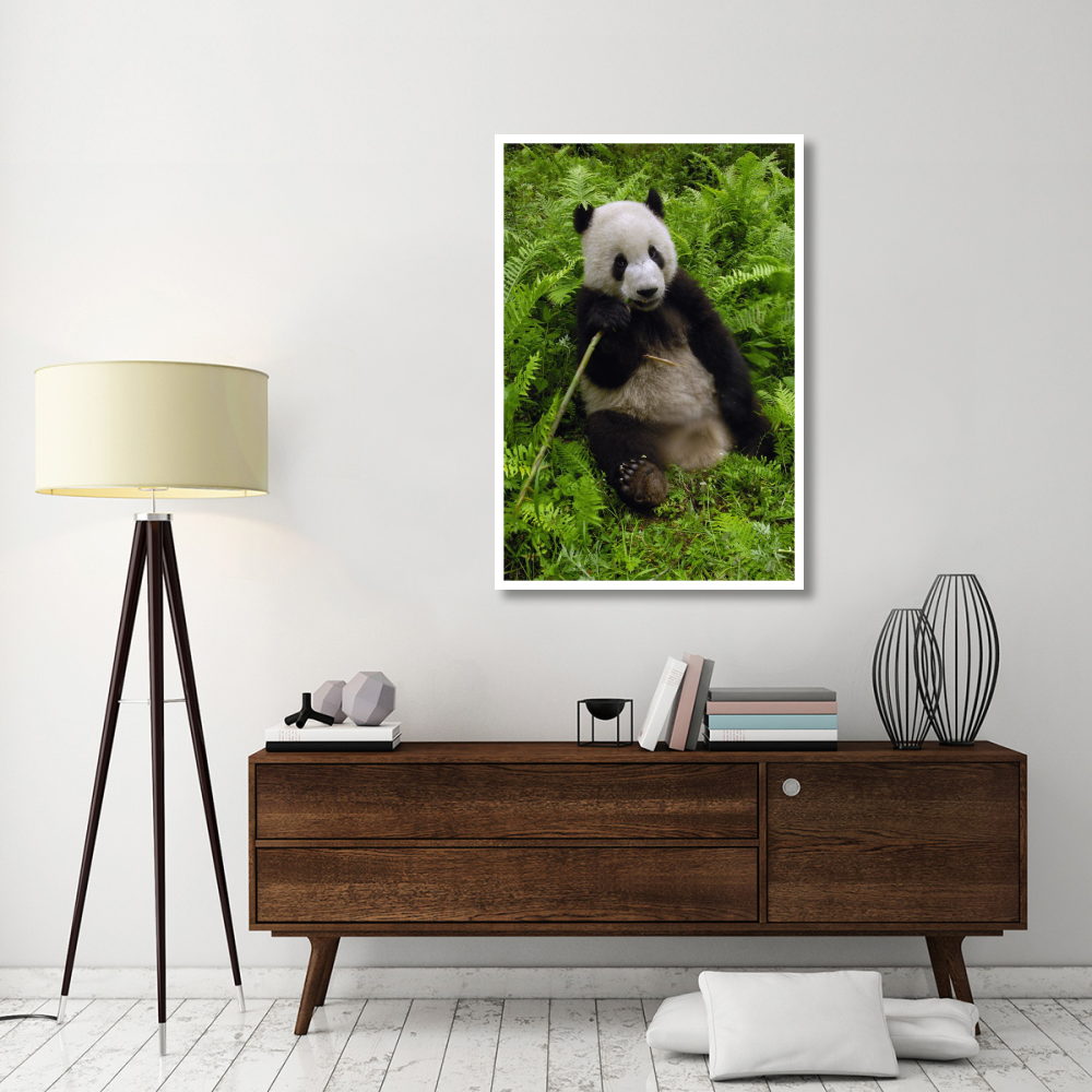 Giant Panda eating bamboo, Wolong Nature Reserve, China-Paper Art-34&quotx50"