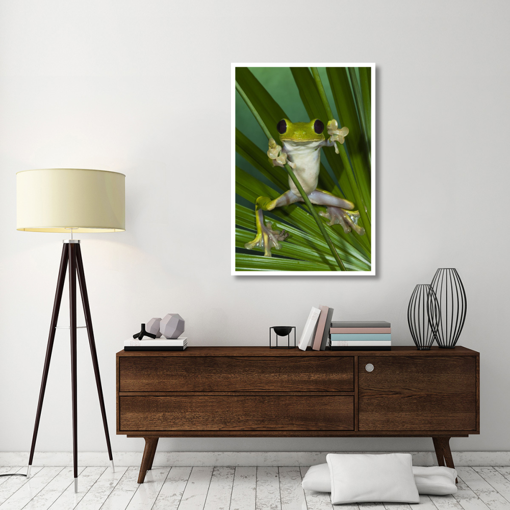 Gliding Leaf Frog, northwest Ecuador-Paper Art-34&quotx50"
