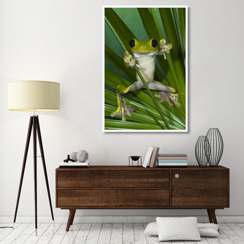 Gliding Leaf Frog, northwest Ecuador-Paper Art-42&quotx62"