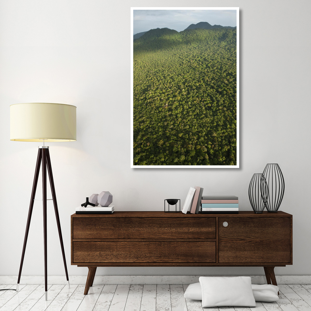 Rainforest, Iwokrama Rainforest Reserve, Guyana-Paper Art-42&quotx62"