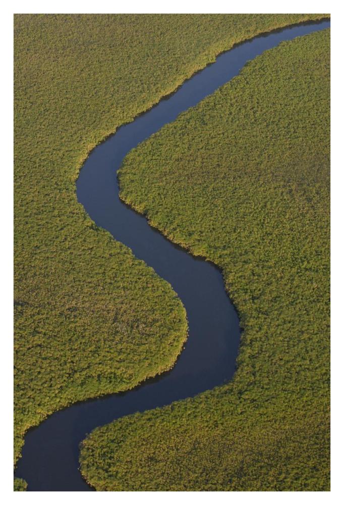 Papyrus swamps and channel, aerial view, Africa-Paper Art-26"x38"