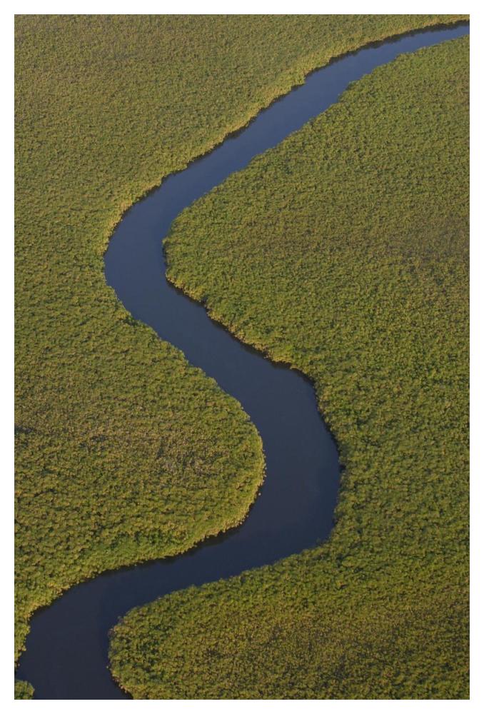 Papyrus swamps and channel, aerial view, Africa-Paper Art-34"x50"