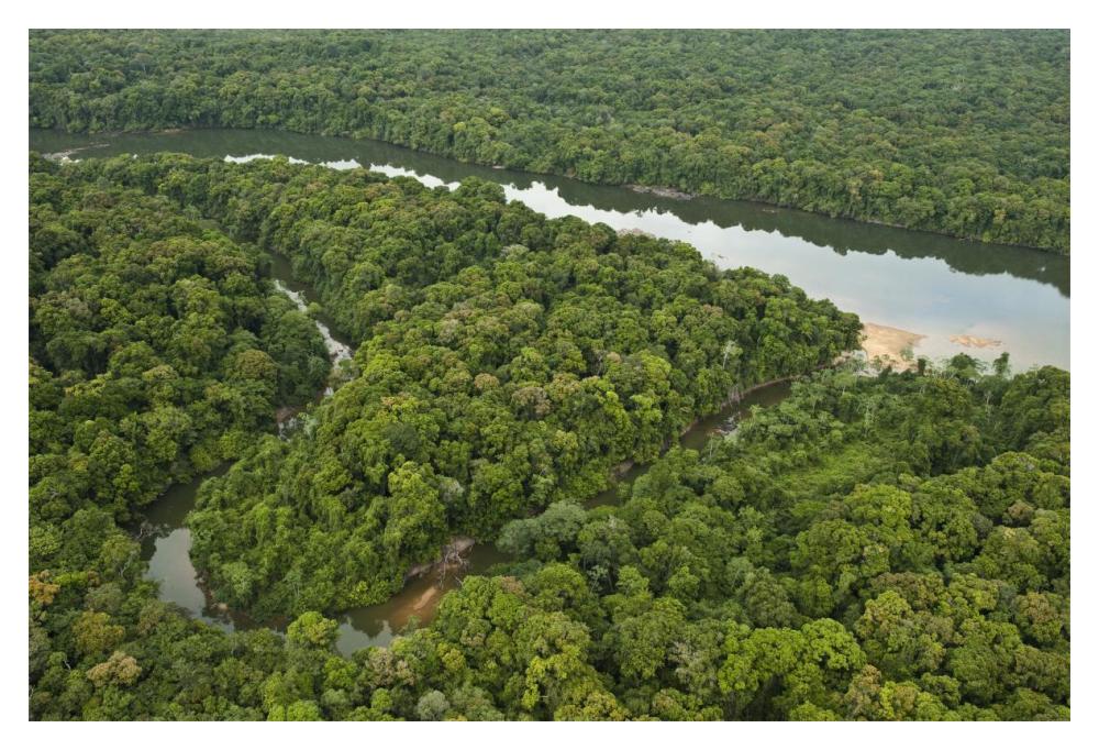 Essequibo River, Iwokrama Rainforest Reserve, Guyana-Paper Art-20"x14"