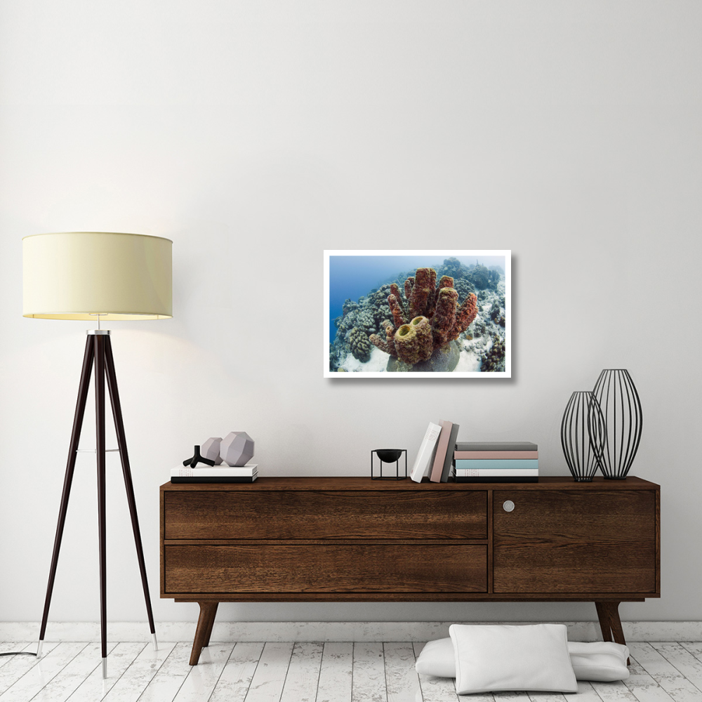 Brown Tube Sponge, Bonaire, Netherlands Antilles, Caribbean-Paper Art-32&quotx22"