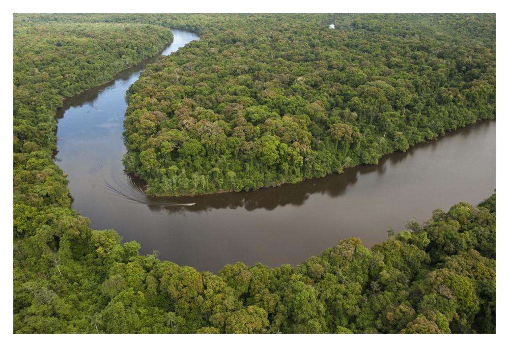 Rainforest and Essequibo River, Iwokrama Rainforest Reserve, Guyana-Paper Art-20"x14"