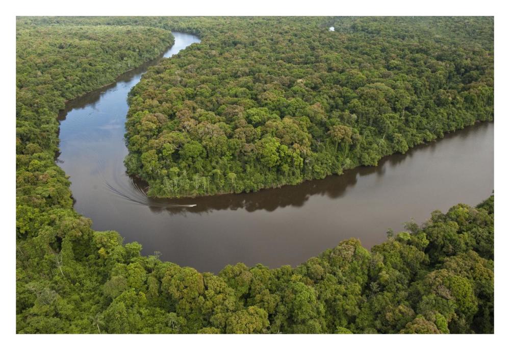 Rainforest and Essequibo River, Iwokrama Rainforest Reserve, Guyana-Paper Art-32"x22"
