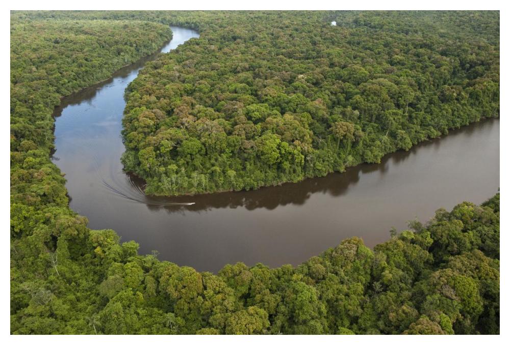 Rainforest and Essequibo River, Iwokrama Rainforest Reserve, Guyana-Paper Art-50"x34"