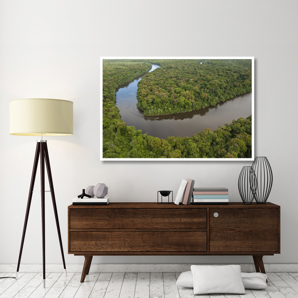 Rainforest and Essequibo River, Iwokrama Rainforest Reserve, Guyana-Paper Art-62&quotx42"