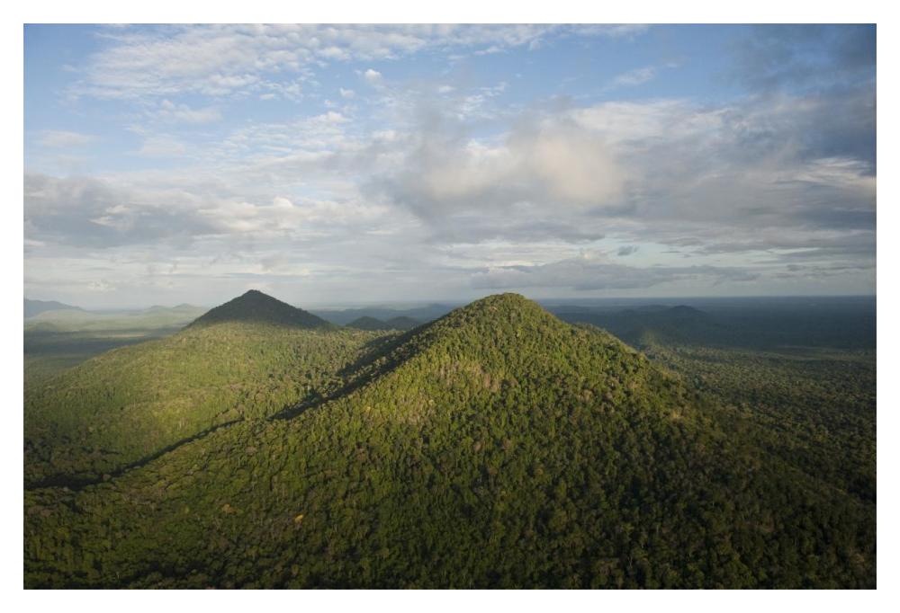 Rainforest and Kanuku Mountains, Upper Takutu-Upper Essequibo, Guyana-Paper Art-20"x14"