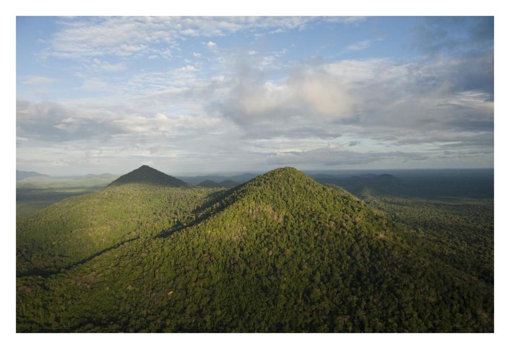 Rainforest and Kanuku Mountains, Upper Takutu-Upper Essequibo, Guyana-Paper Art-32"x22"