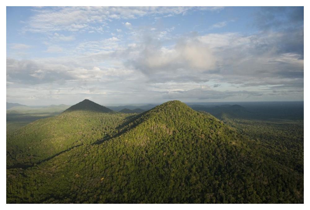 Rainforest and Kanuku Mountains, Upper Takutu-Upper Essequibo, Guyana-Paper Art-50"x34"