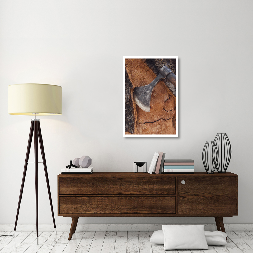 Cork Oak bark being harvested for wine corks and other products, San Vicente de Alcantara, Extremadura, Spain-Paper Art-26&quotx38"