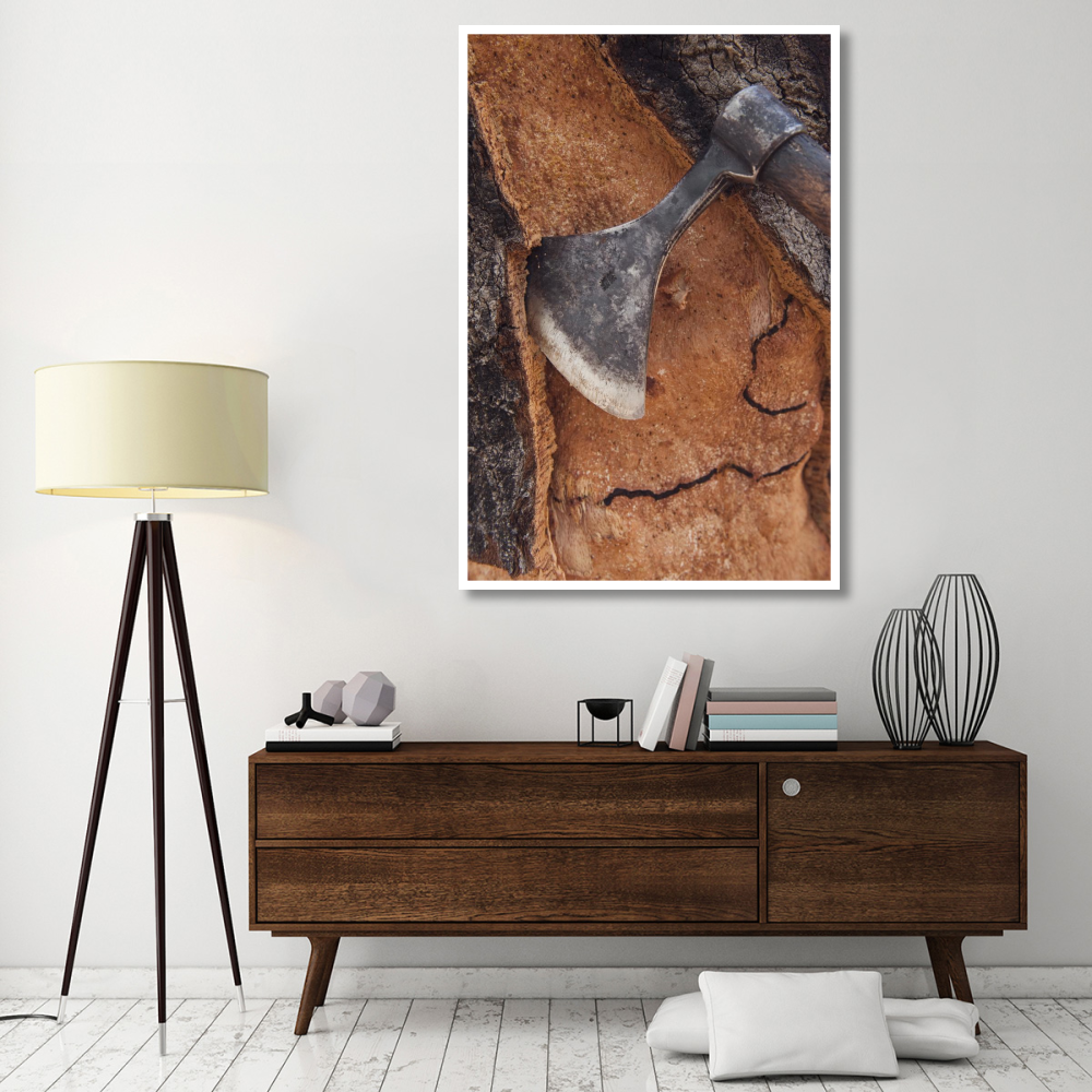 Cork Oak bark being harvested for wine corks and other products, San Vicente de Alcantara, Extremadura, Spain-Paper Art-42&quotx62"