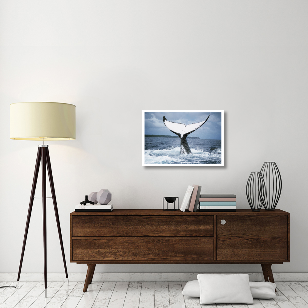 Humpback Whale tail, Tonga-Paper Art-32&quotx22"