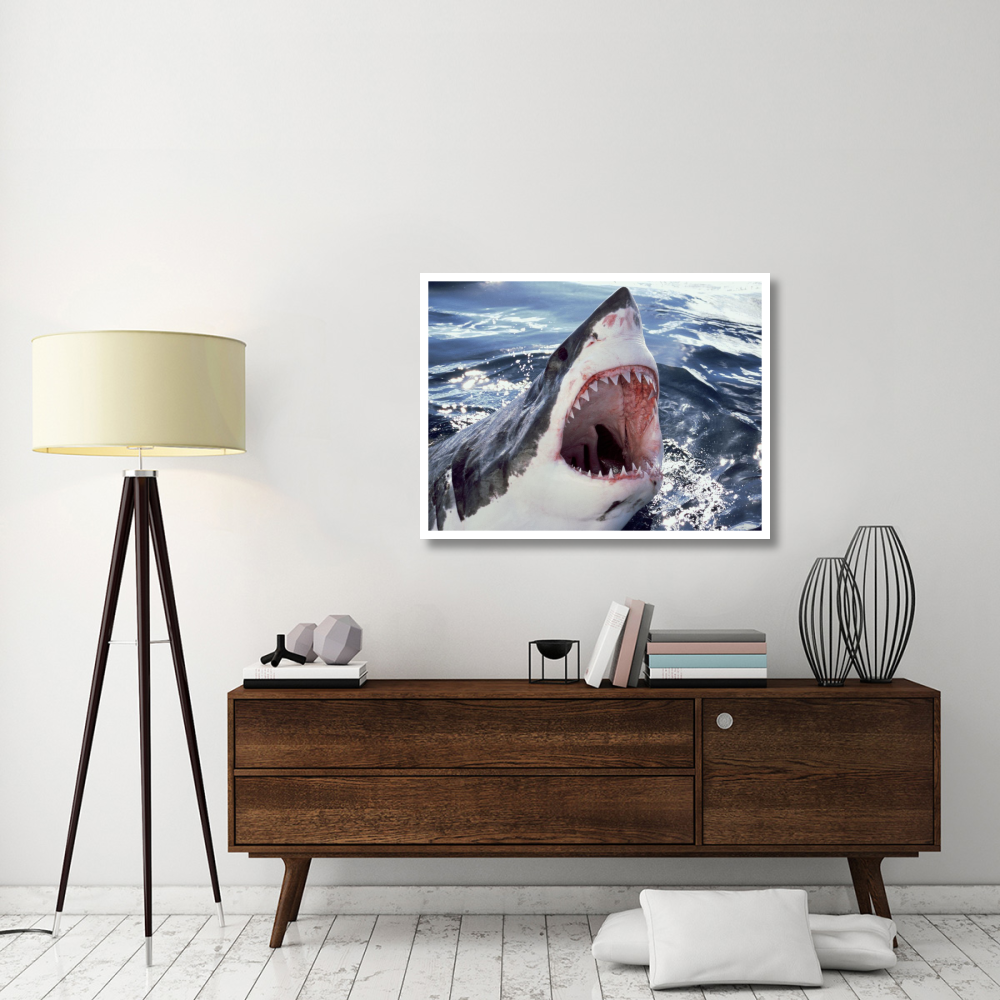 Great White Shark at surface with open mouth, Neptune Islands, Australia. Digitally enhanced.-Paper Art-42&quotx32"