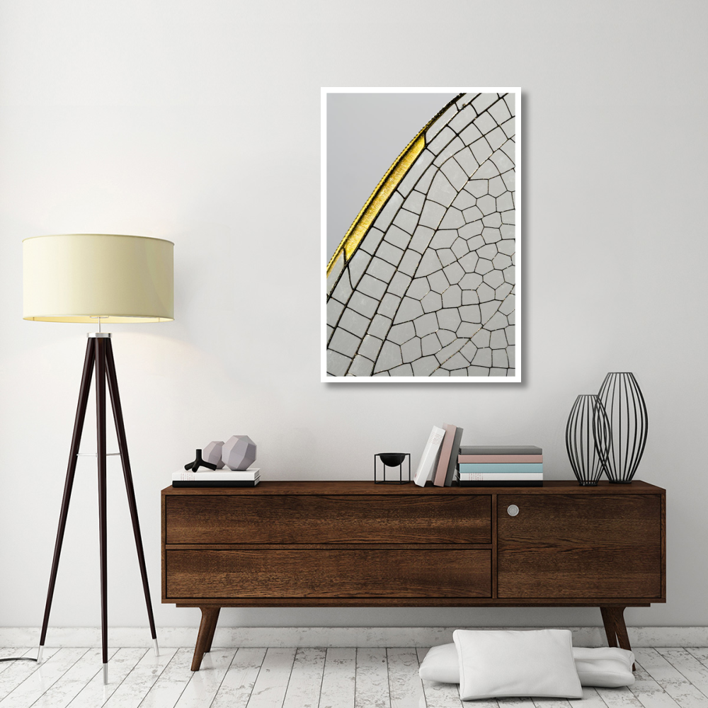Emperor Dragonfly wing, Den Helder, Netherlands-Paper Art-34&quotx50"