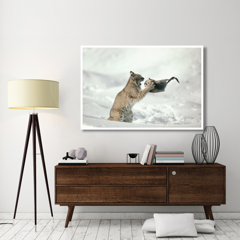 Bobcat capturing Muskrat in the winter, Idaho-Paper Art-62&quotx42"