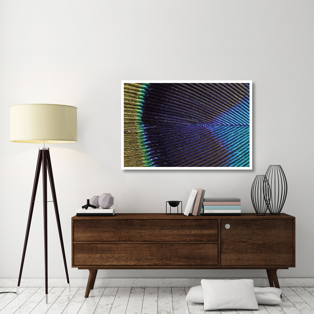 Peacock Feather-Paper Art-50&quotx34"