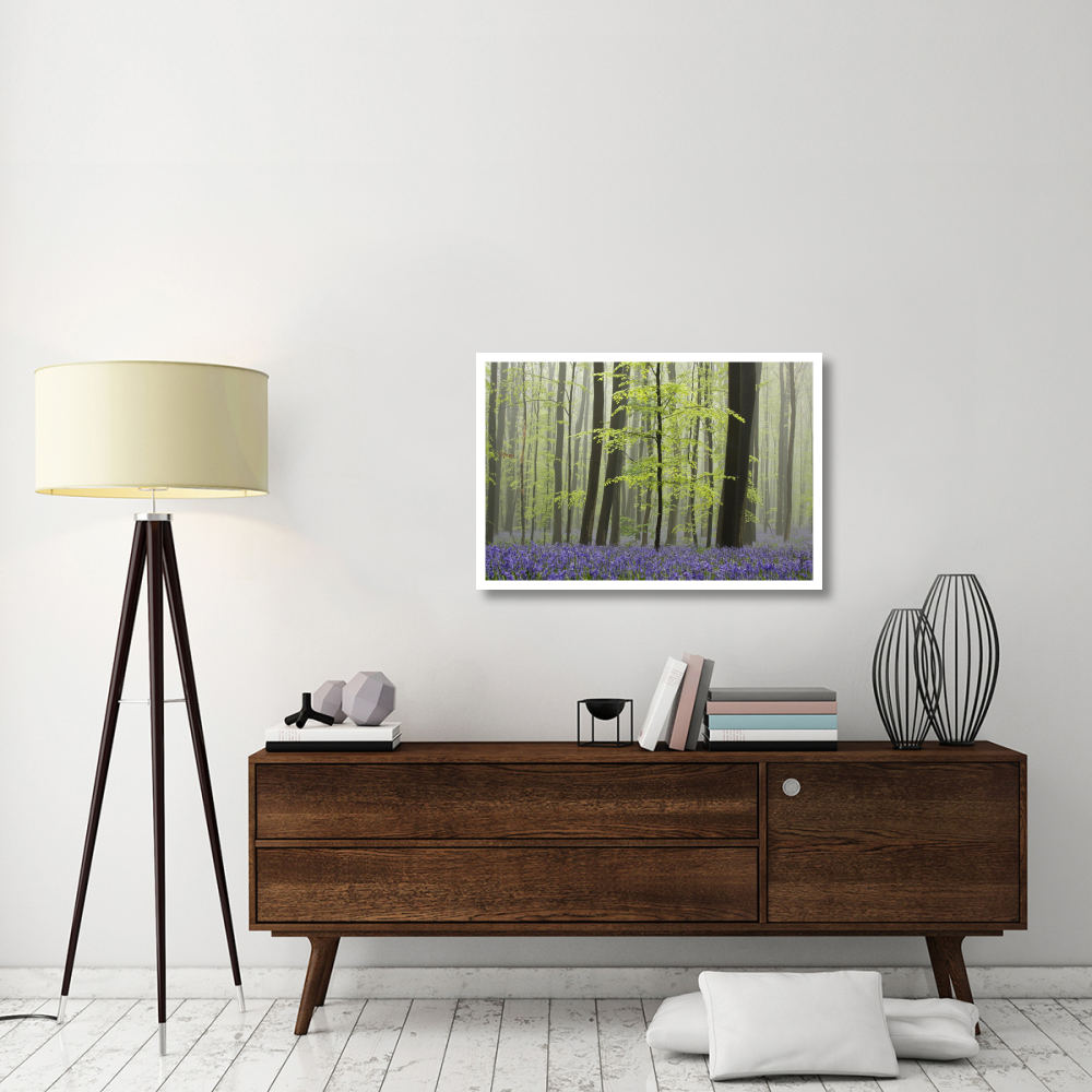 Bluebell carpet in the forest-Paper Art-38&quotx26"