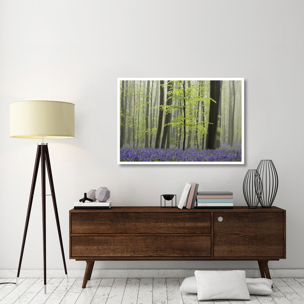 Bluebell carpet in the forest-Paper Art-50&quotx34"