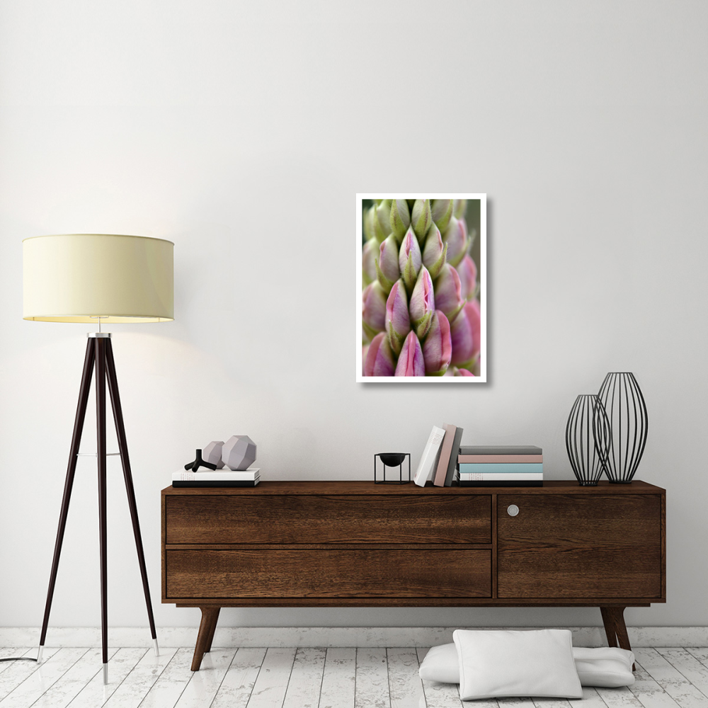 Detail of budding Lupine, Netherlands-Paper Art-22&quotx32"