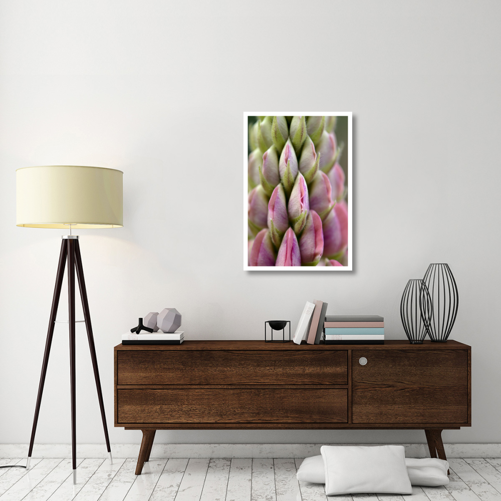 Detail of budding Lupine, Netherlands-Paper Art-26&quotx38"