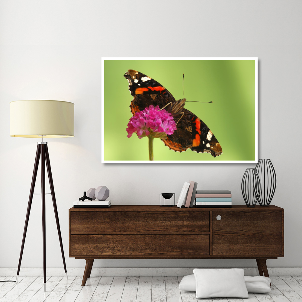 Red Admiral, Hoogeloon, Netherlands. Sequence 13 of 14-Paper Art-62&quotx42"