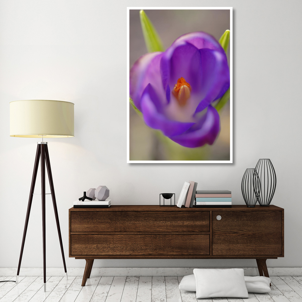 Dutch Crocus flower with pistil, Hoogeloon, Netherlands-Paper Art-42&quotx62"