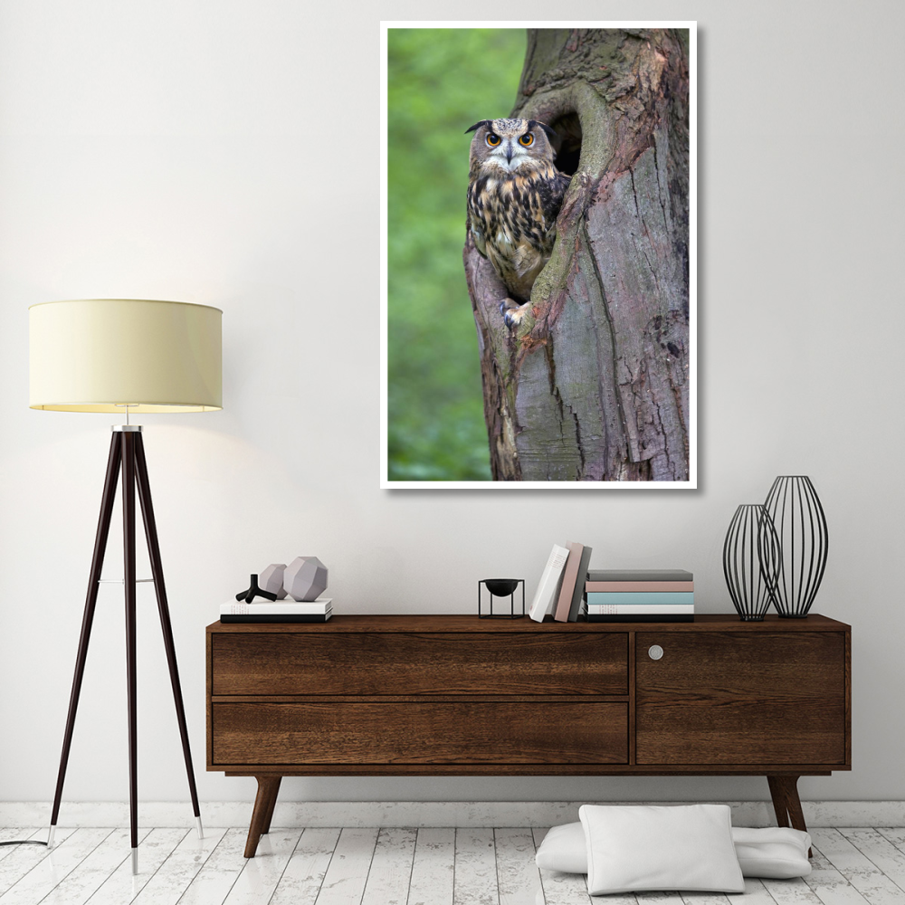 Eurasian Eagle-Owl looking out from a tree cavity, Netherlands-Paper Art-42&quotx62"