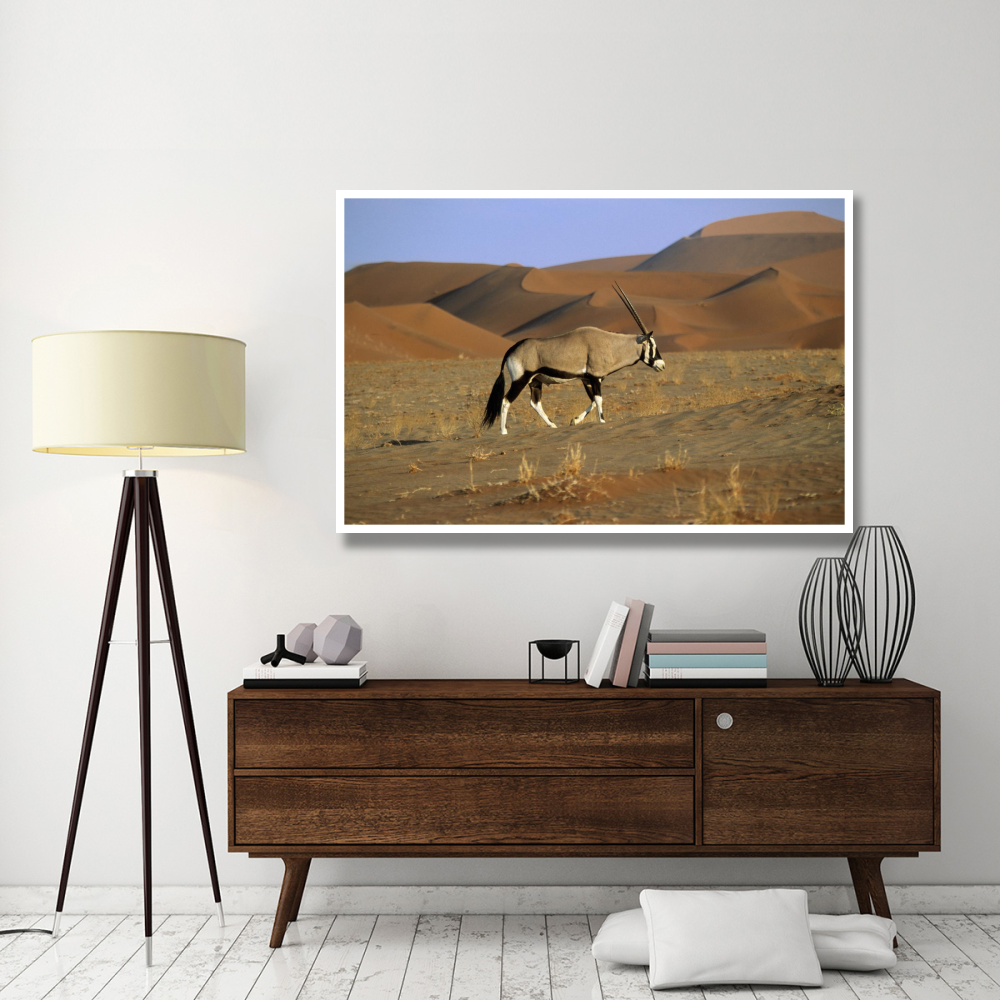 Gemsbok walking across dunes, Sossusvlei, Namib-Naukluft National Park, Namibia-Paper Art-62&quotx42"