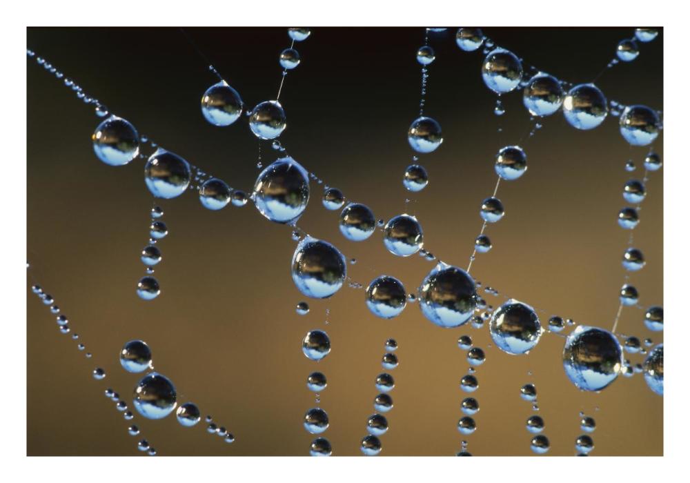 Raindrops on a spider web, New Zealand-Paper Art-26"x18"