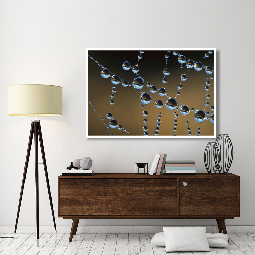 Raindrops on a spider web, New Zealand-Paper Art-62&quotx42"