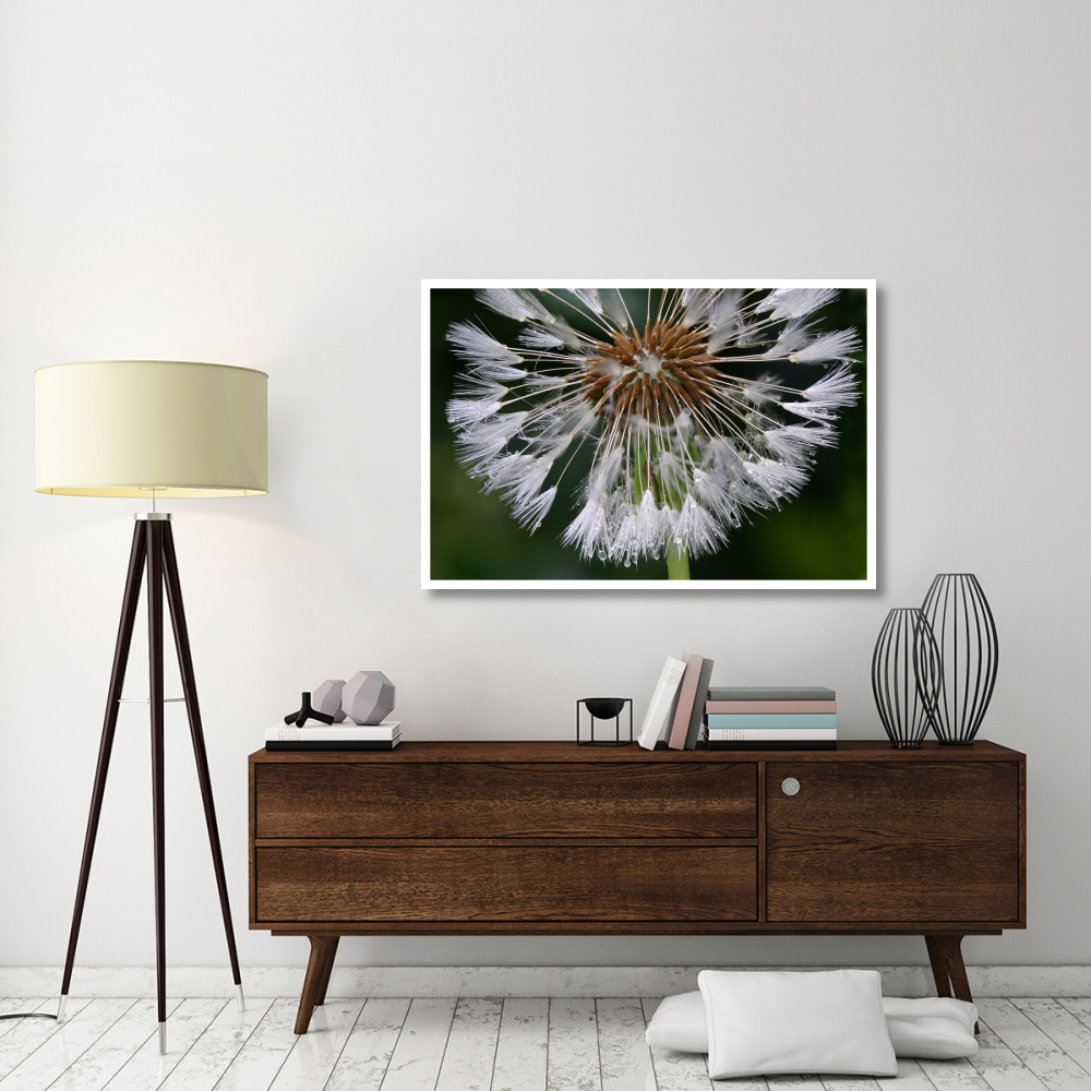 Dandelion seedhead-Paper Art-50&quotx34"