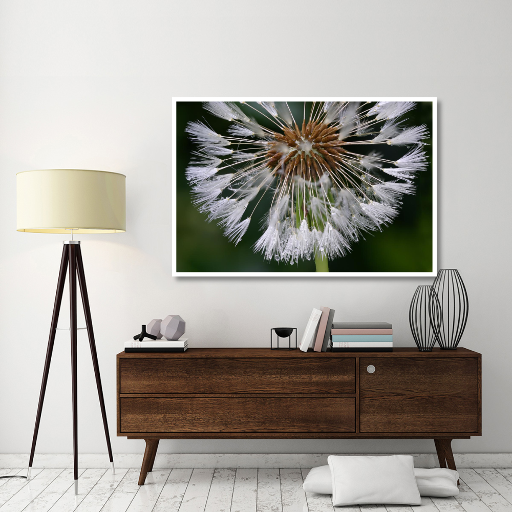 Dandelion seedhead-Paper Art-62&quotx42"