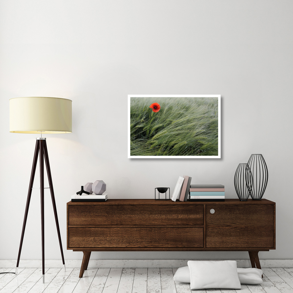 Red Poppy flowering-Paper Art-38&quotx26"