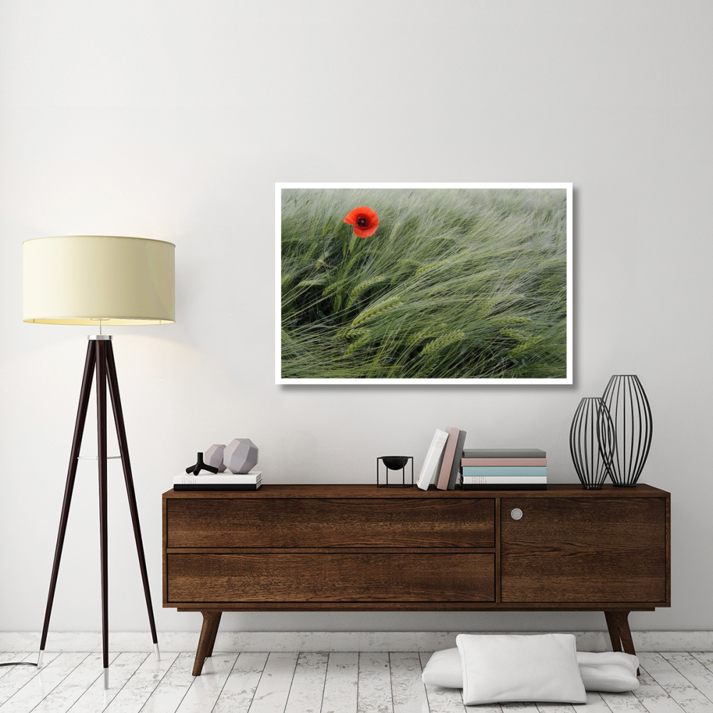 Red Poppy flowering-Paper Art-50&quotx34"
