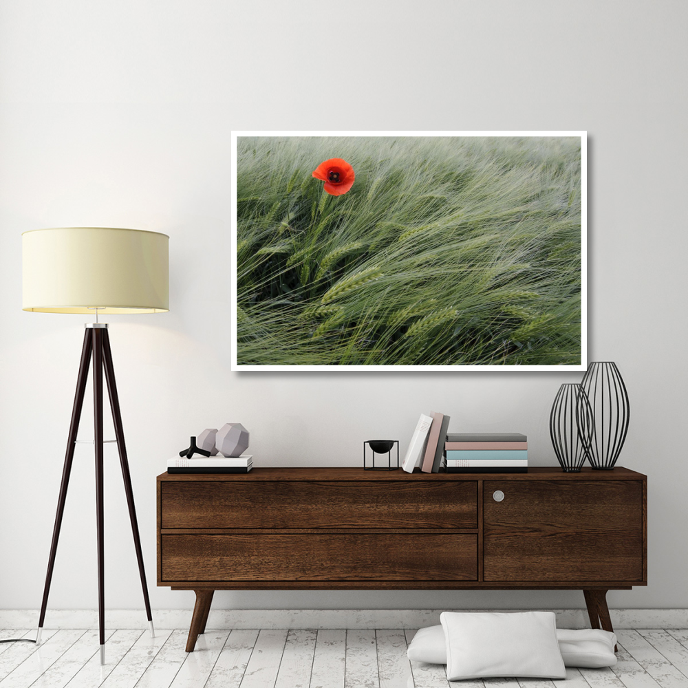 Red Poppy flowering-Paper Art-62&quotx42"