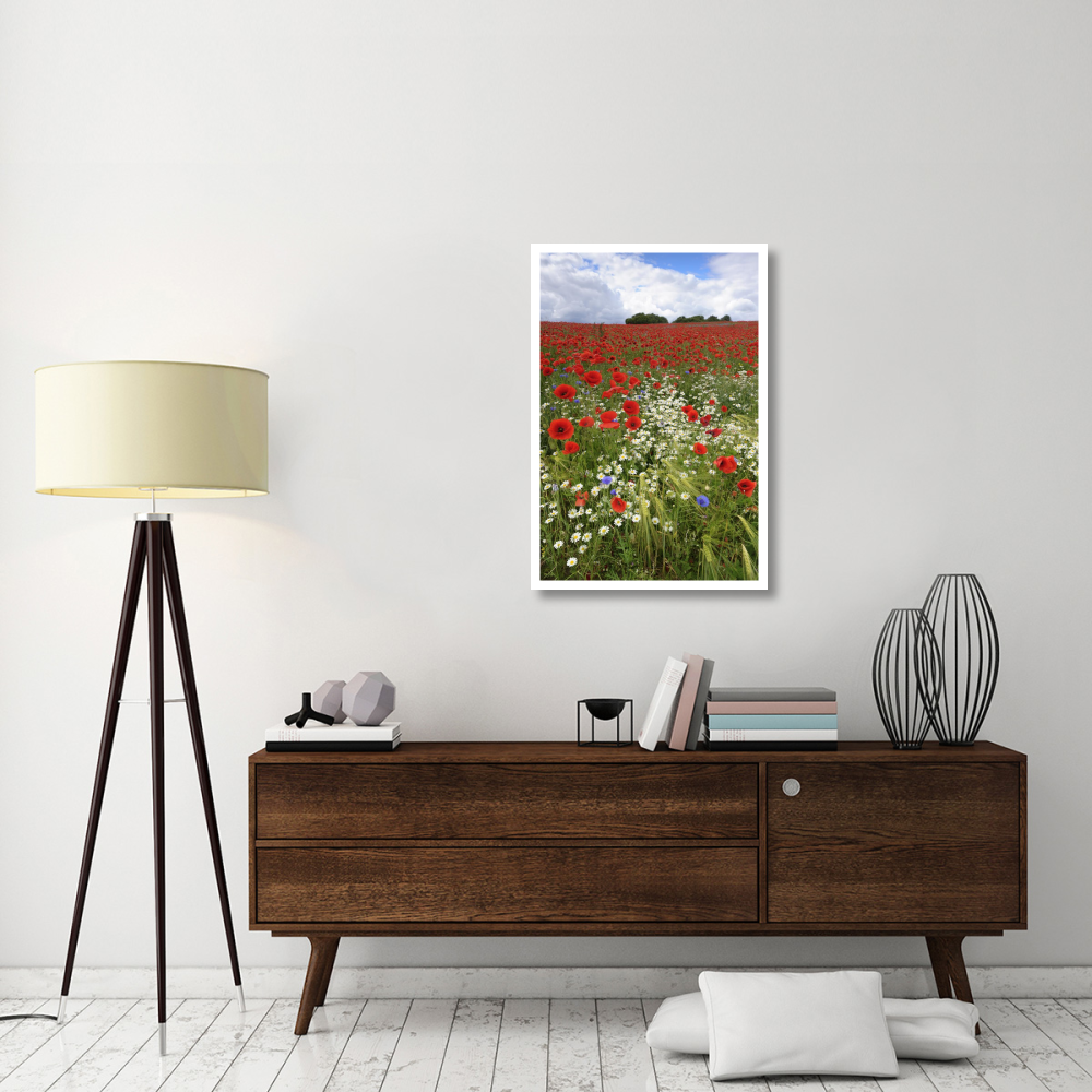 Field with flowering Red Poppies and other wildflowers-Paper Art-26&quotx38"