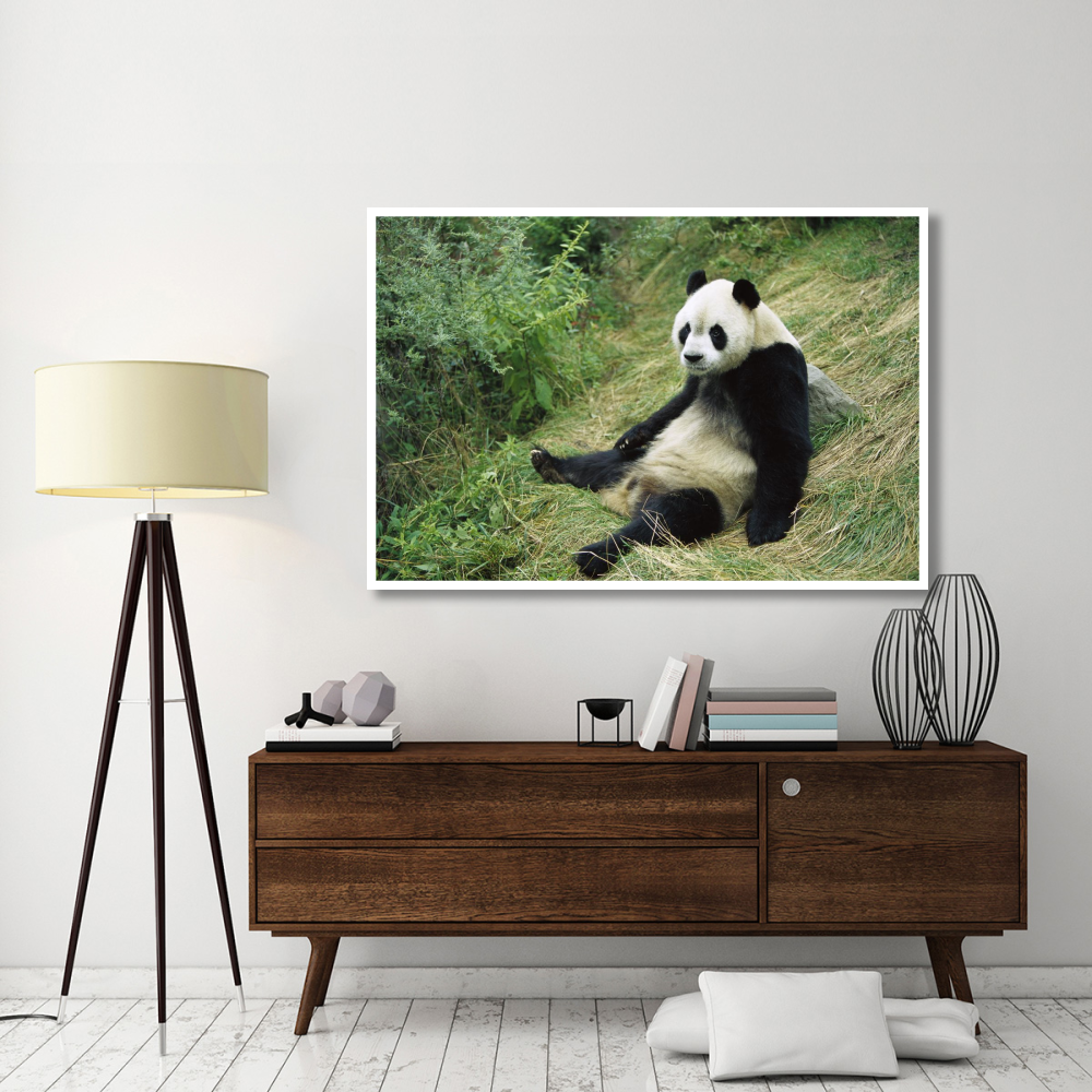 Giant Panda, Woolong-Paper Art-62&quotx42"