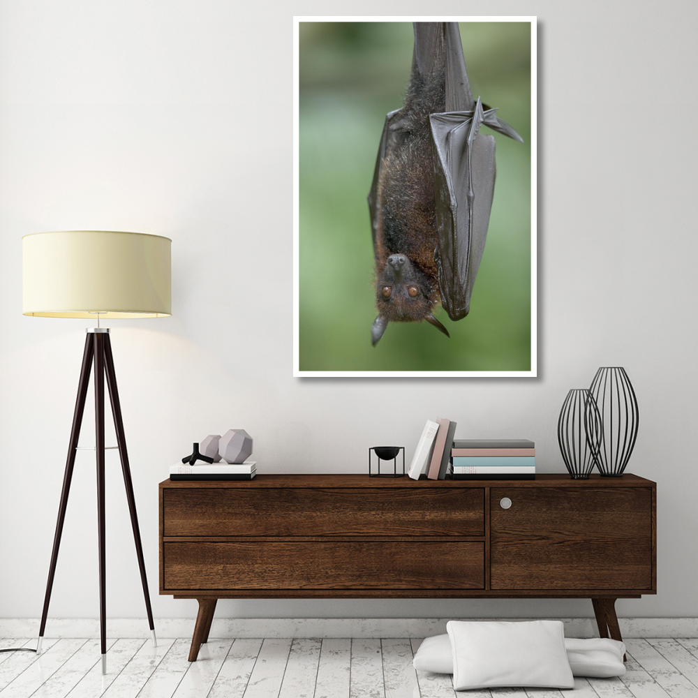 Flying Fox-Paper Art-42&quotx62"