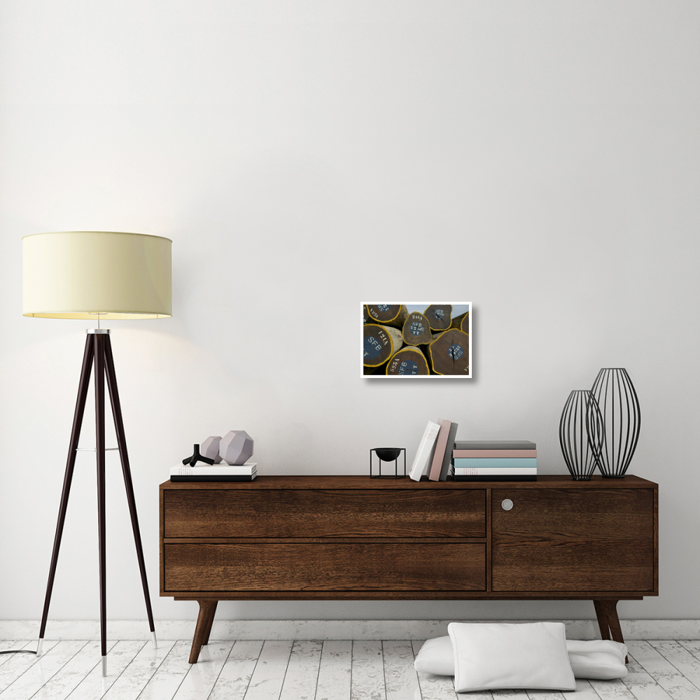 Legal Lumber from Congo Forests-Paper Art-20&quotx14"