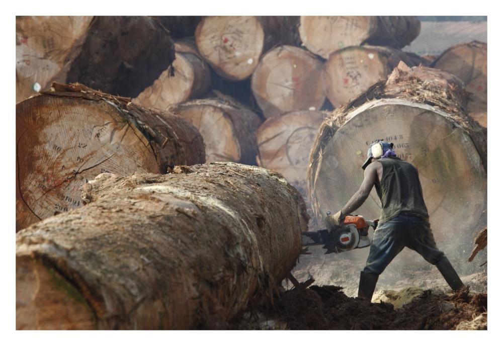 Logger cutting tree trunk, Cameroon-Paper Art-32"x22"
