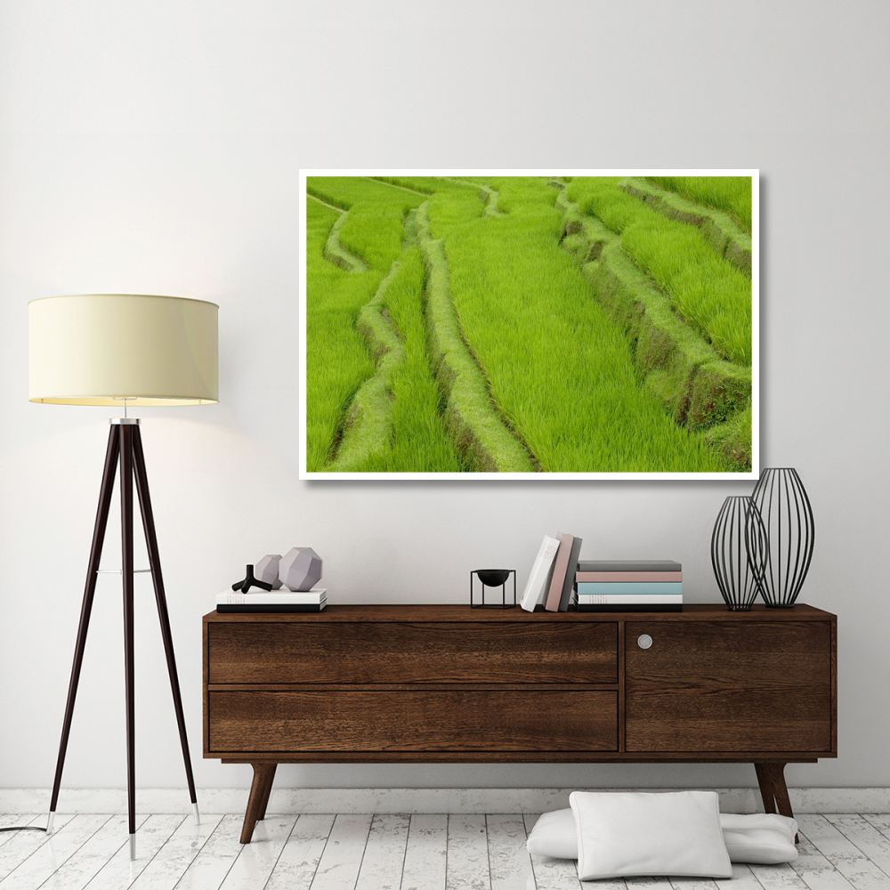 Terraced rice paddy, Ubud area, Bali, Indonesia-Paper Art-62&quotx42"