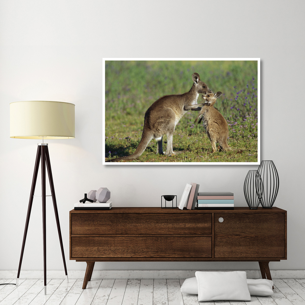 Eastern Grey Kangaroo mother with joey, Australia-Paper Art-62&quotx42"
