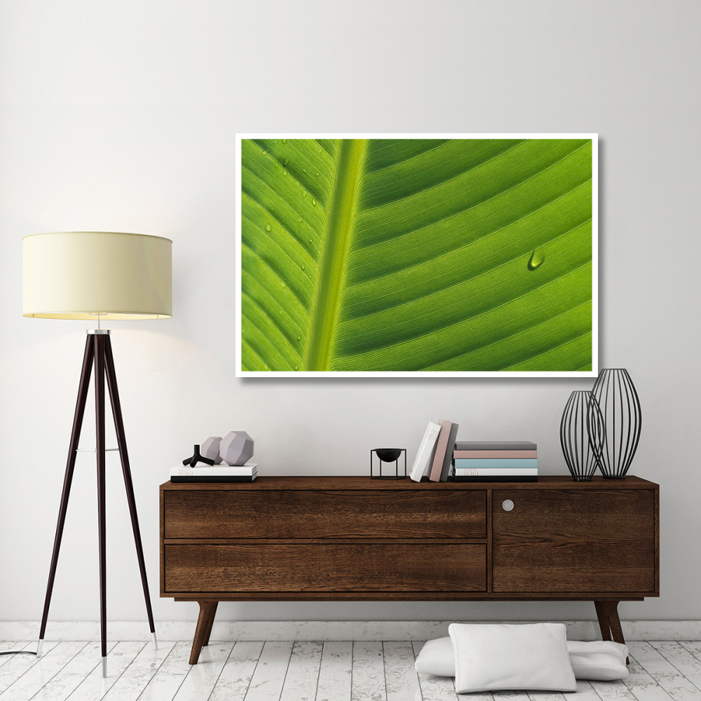 Banana close up of leaf with water droplets, Rwanda-Paper Art-62&quotx42"