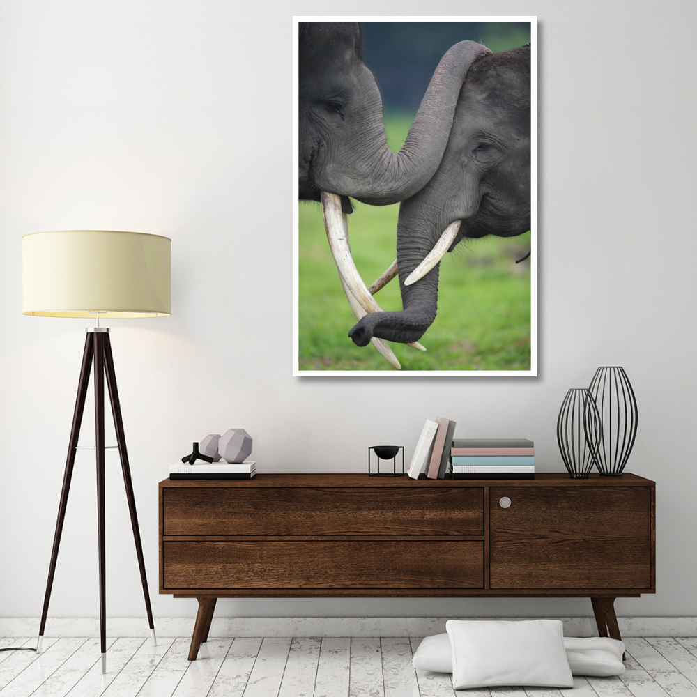 Asian Elephant pair playing, Way Kambas National Park, Sumatra, Indonesia-Paper Art-42&quotx62"