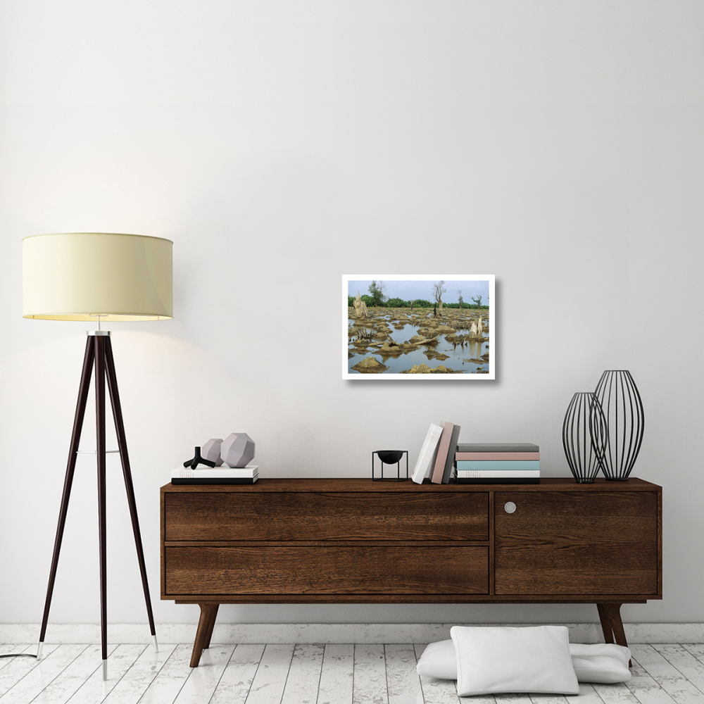 Mangrove in Mahakam Delta 80% destroyed in 2001 because of tiger shrimp farm, East Kalimantan, Indonesia-Paper Art-26&quotx18"